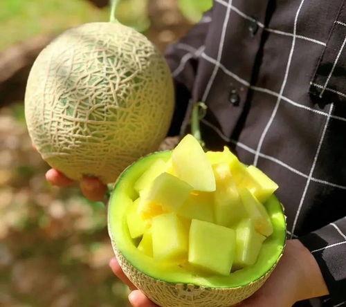 娱乐圈吃瓜橘子,揭秘明星背后的故事