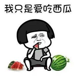 娱乐吃瓜酱不要慌