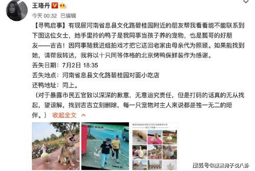 娱乐吃瓜鹅鸭视频下载,鹅鸭视频下载攻略，轻松获取热门娱乐内容