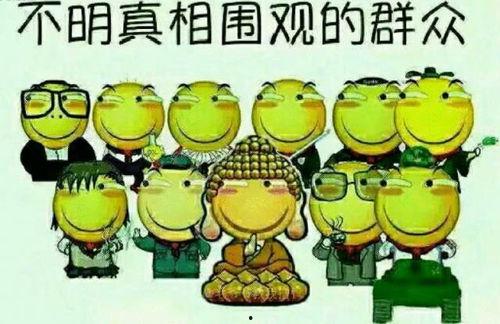 娱乐吃瓜群众模板怎么写,揭秘明星背后的故事，带你走进明星私生活