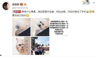 赵丽颖娱乐吃瓜事件视频,揭秘吃瓜视频背后的真相