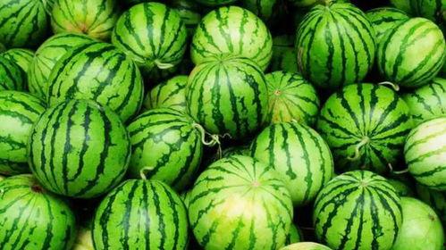 娱乐吃瓜为什么火,揭秘网络现象的火爆之谜